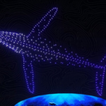Costs of Drone Shows Understanding the Price Factors