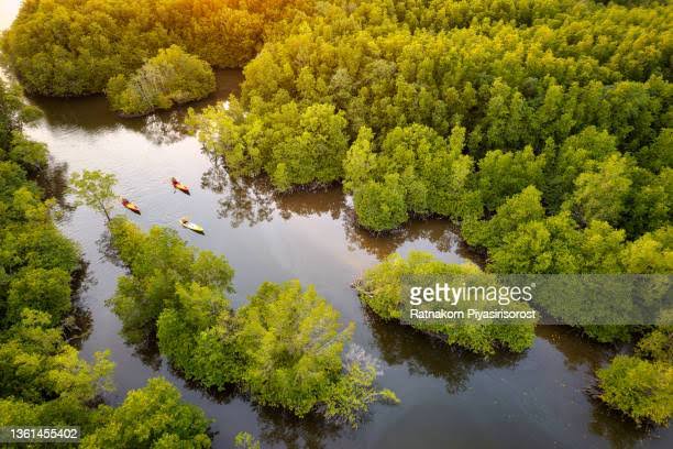 Essence of Drone Technology In Real Estate Marketing